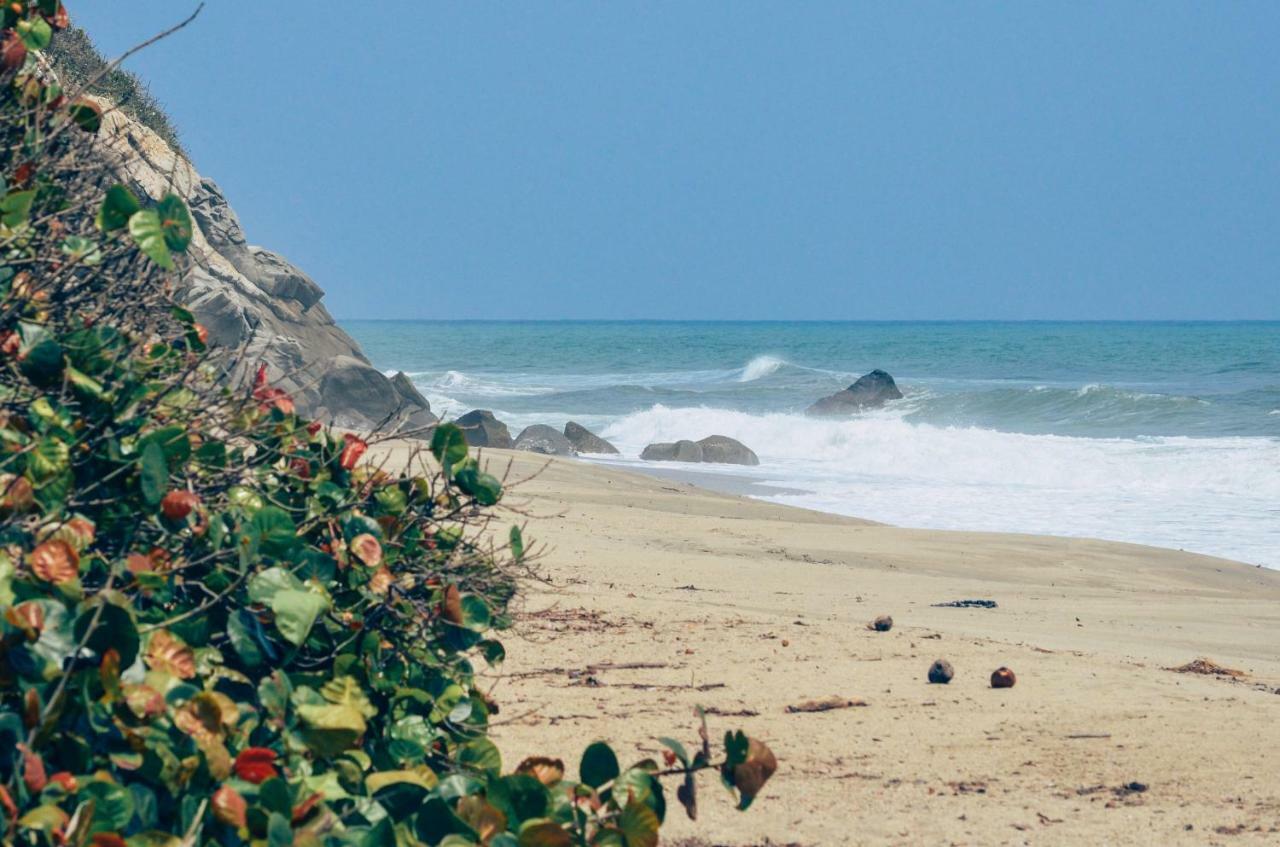 Playa Los Angeles Los Naranjos Exteriör bild