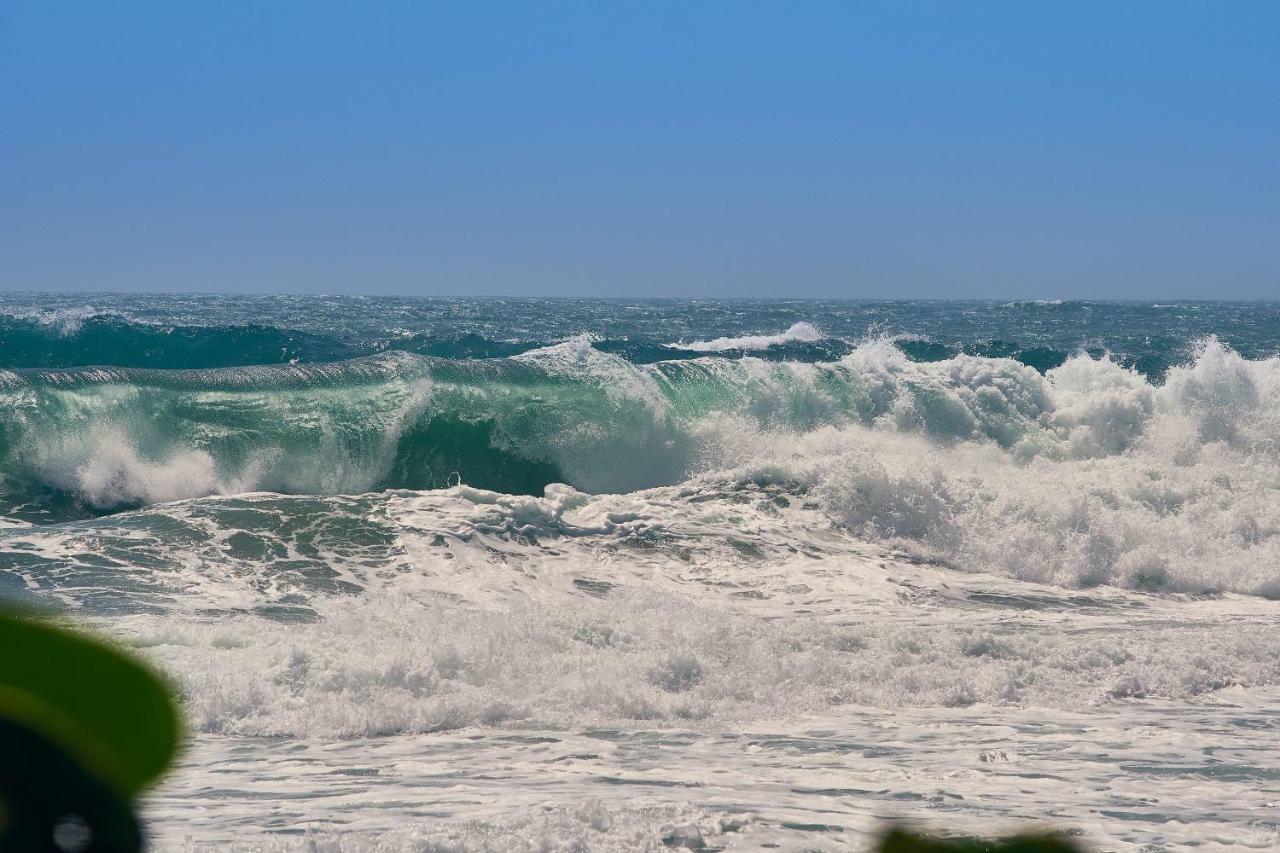 Playa Los Angeles Los Naranjos Exteriör bild